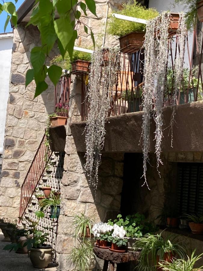 Tencarola B & B エクステリア 写真