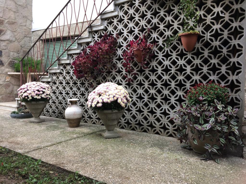 Tencarola B & B エクステリア 写真